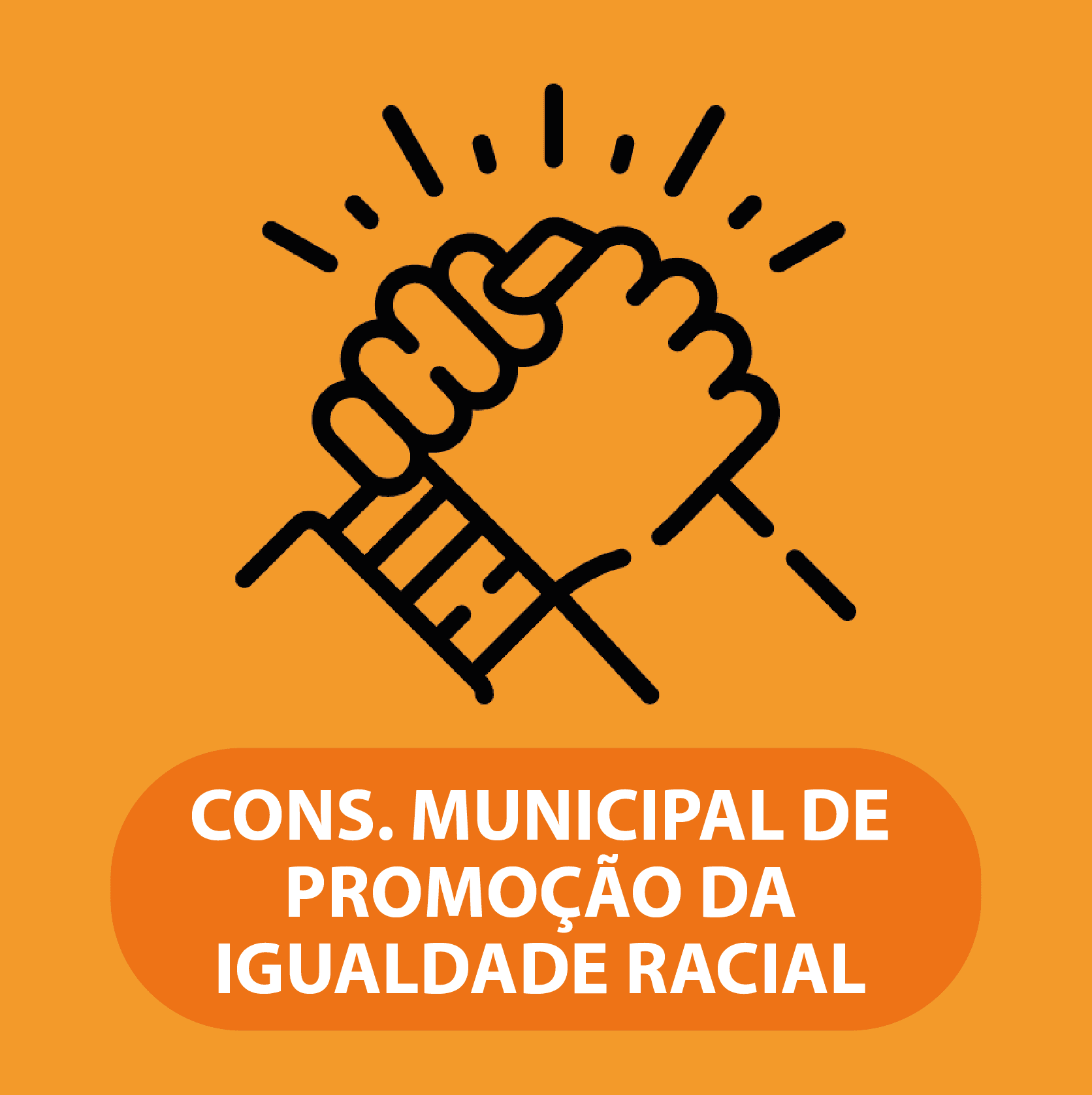 Conselho Municipal de Promoção da Igualdade Racial