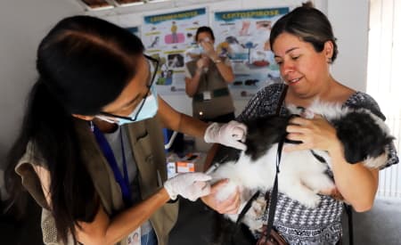 Vacinação antirrábica gratuita para cães e gatos acontece neste sábado (22), no Jardim Siesta