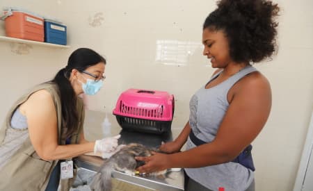 Prefeitura realiza vacinação antirrábica gratuita para cães e gatos neste sábado (8), no Jardim Paraíso