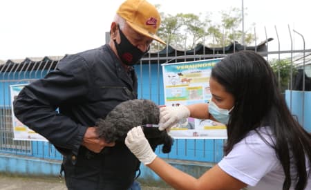 Prefeitura de Jacareí realiza vacinação antirrábica para cães e gatos no sábado (29), no Jardim Yolanda