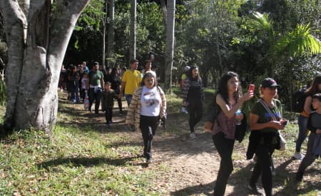 É neste e em todo domingo, hein! Viveiro de Jacareí agora abre todos os domingos, com trilhas, oficinas, e diversas atrações. Veja detalhes desta edição
