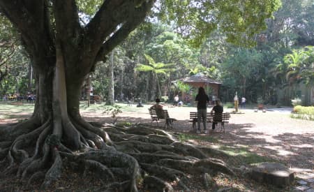 Observação de pássaros, trilha ecológica e aula de Yoga fazem parte da programação do “Viver o Viveiro” deste domingo (26), em Jacareí