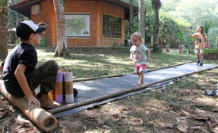 Férias de Verão no Viveiro Municipal de Jacareí têm trilhas temáticas e ecológicas, oficinas e brincadeiras, neste domingo (21). A programação é gratuita