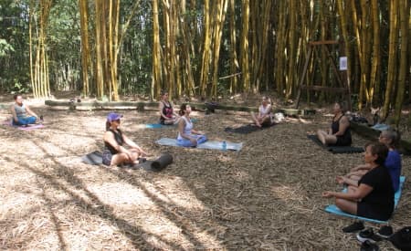Carnaval e natureza! Edição especial de carnaval do “Viver o Viveiro” acontece neste domingo (11), em Jacareí