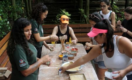 Último “Viver o Viveiro” do ano tem oficina para enfeites natalinos ecológicos e montagem de terrário, neste domingo (21)