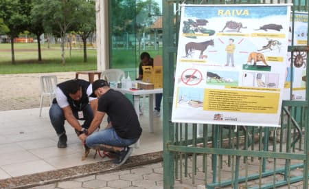 Atenção moradores da região do Jardim Siesta! Prefeitura de Jacareí realiza vacinação antirrábica para cães e gatos neste sábado (7)
