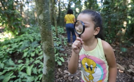 Núcleo de Educação Ambiental de Jacareí divulga Guia com as trilhas ambientais do Viveiro Municipal