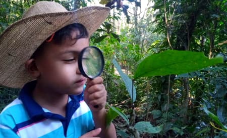 Primeiro ‘Viver o Viveiro’ de 2025 tem trilhas guiadas e brincadeiras para toda a família