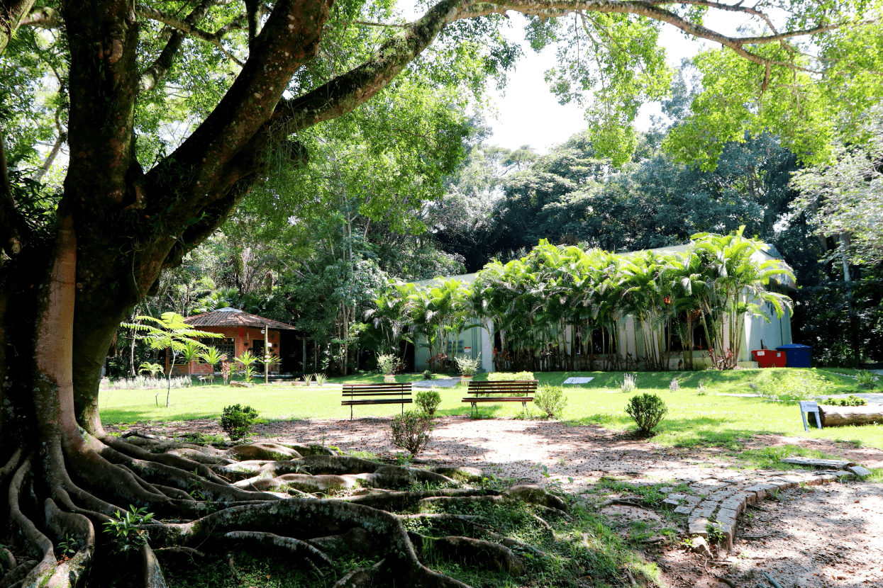 Viveiro Municipal ‘Seo Moura’ estabelece regras para sediar eventos particulares