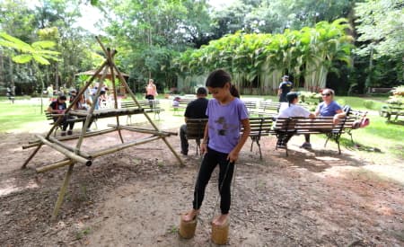 Viveiro tem oficina de “detetives da poluição”, vivência na natureza e muito mais neste domingo (10)