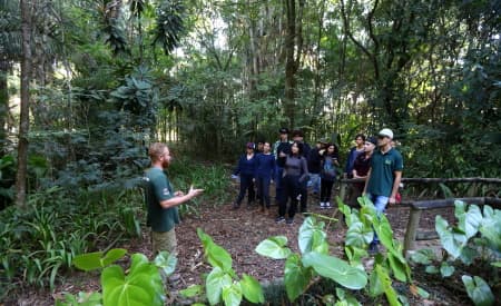“Viver o Viveiro” de domingo (25) tem caça ao tesouro ecológica, trilhas e atrações para toda a família