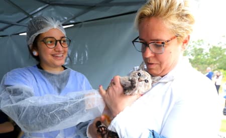 Proteção Animal convoca tutores cadastrados para castração de cães e gatos