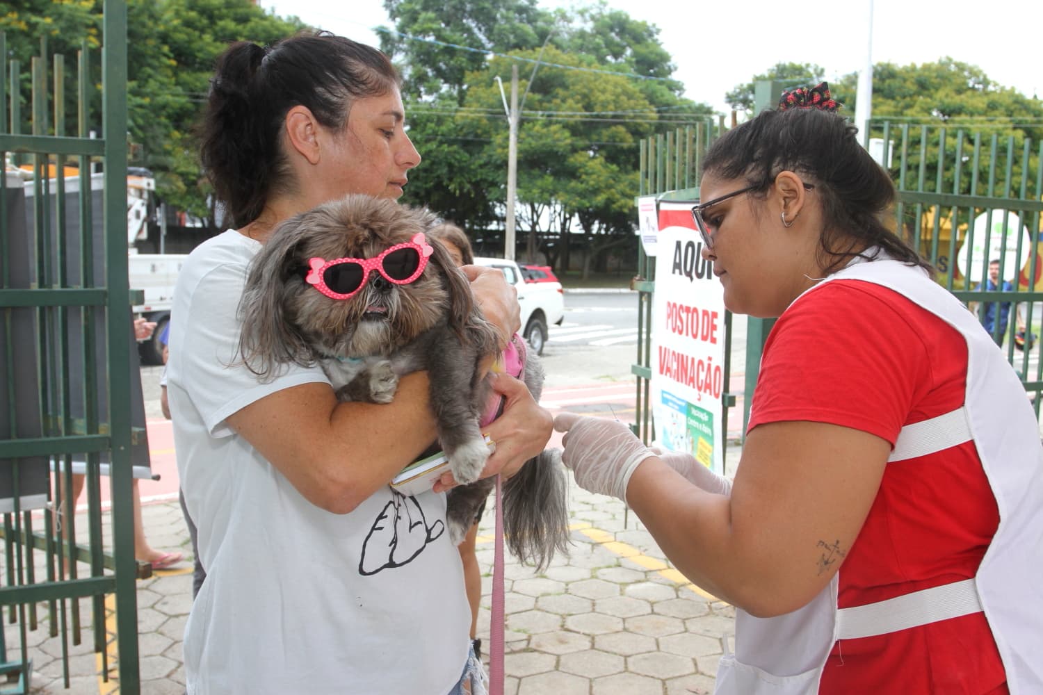 Vacinação antirrábica: agende já a vacina do seu pet para o mês de maio