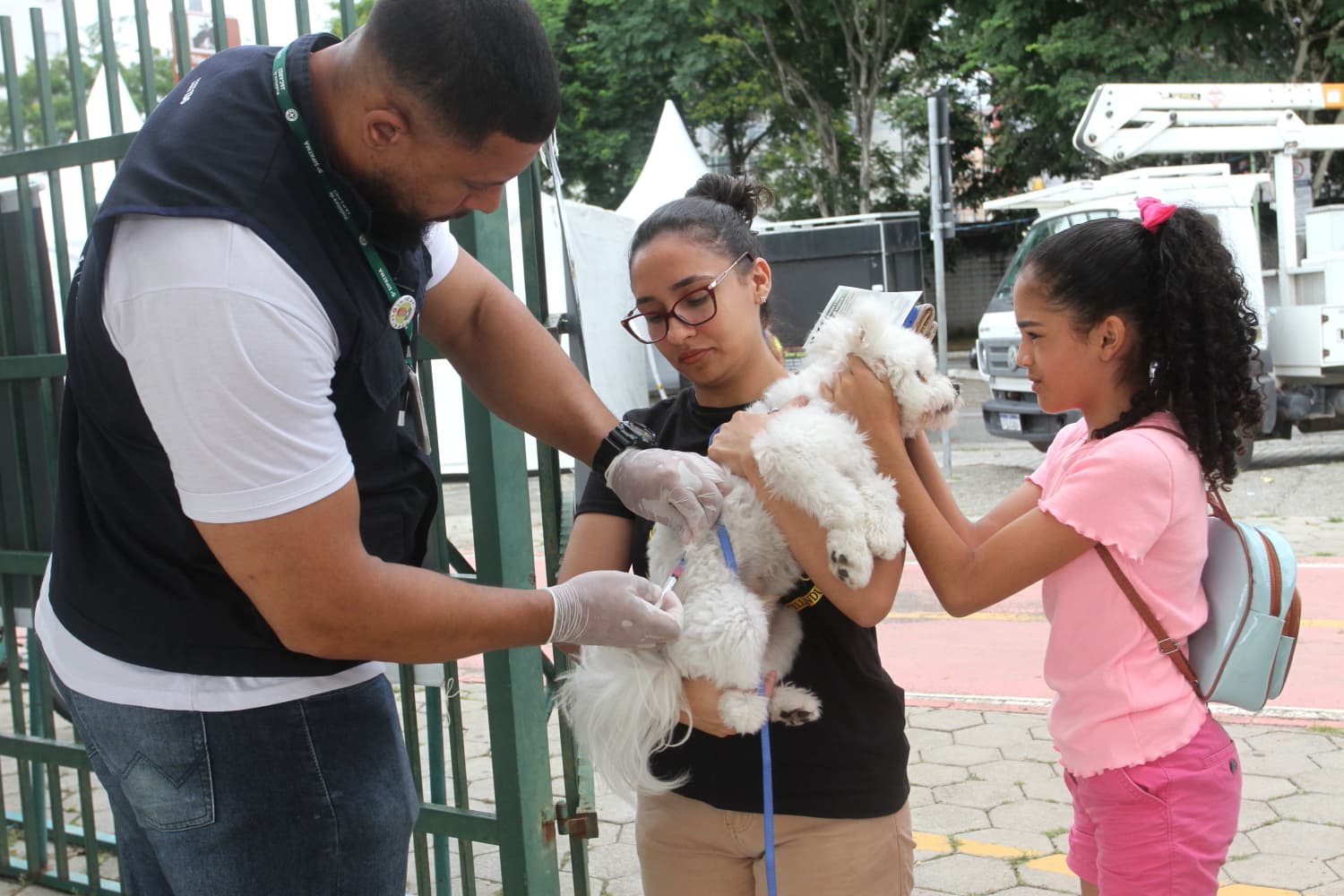 Vacinação antirrábica gratuita para cães e gatos acontece neste sábado (29), no Jardim Siesta