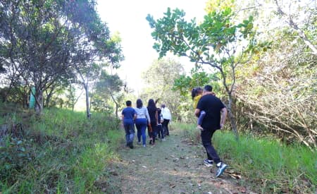 “Viver o Viveiro” tem aula de yoga, confecção de bonecos ecológicos e outras atrações neste domingo (27)