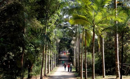 4º “Diálogos ProMEA em Ação” de 2025 discute revisão do Programa Municipal de Educação Ambiental