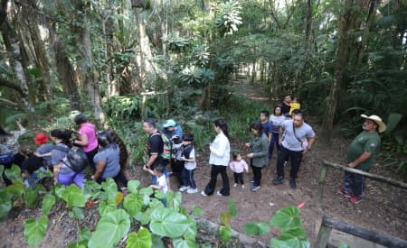 “Viver o Viveiro” tem programação com oficina de kokedama, cultivo sustentável, trilhas e outras atrações neste domingo (26)