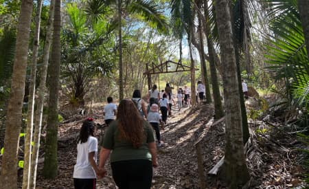 “Viver o Viveiro” tem programação com gincana verde, oficinas, trilhas e mais: confira atrações deste domingo (18)