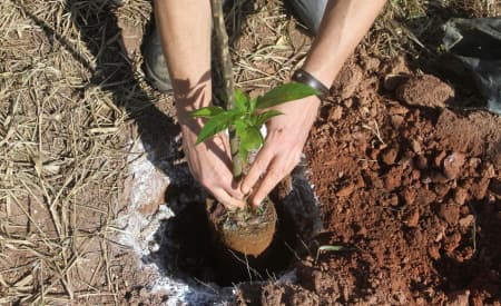 Semana da Educação Ambiental tem programação a partir de segunda-feira (26)