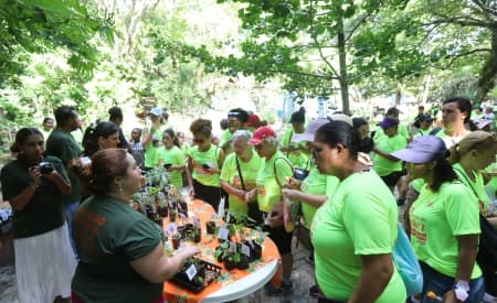 No Dia das Mulheres, “Viver o Viveiro” recebe público de caminhada e tem escalda-pés com ervas medicinais, em Jacareí
