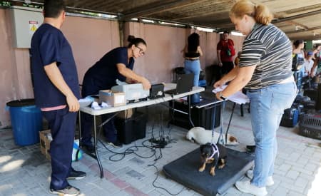 Proteção Animal tem plantão de entrega de senhas para mutirão de castração do Jardim Califórnia