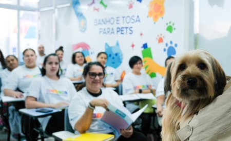 Curso de ‘Banho e Tosa para Pets’ está com inscrições abertas! Aulas iniciam na próxima segunda-feira (25)