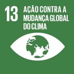 ODS 13