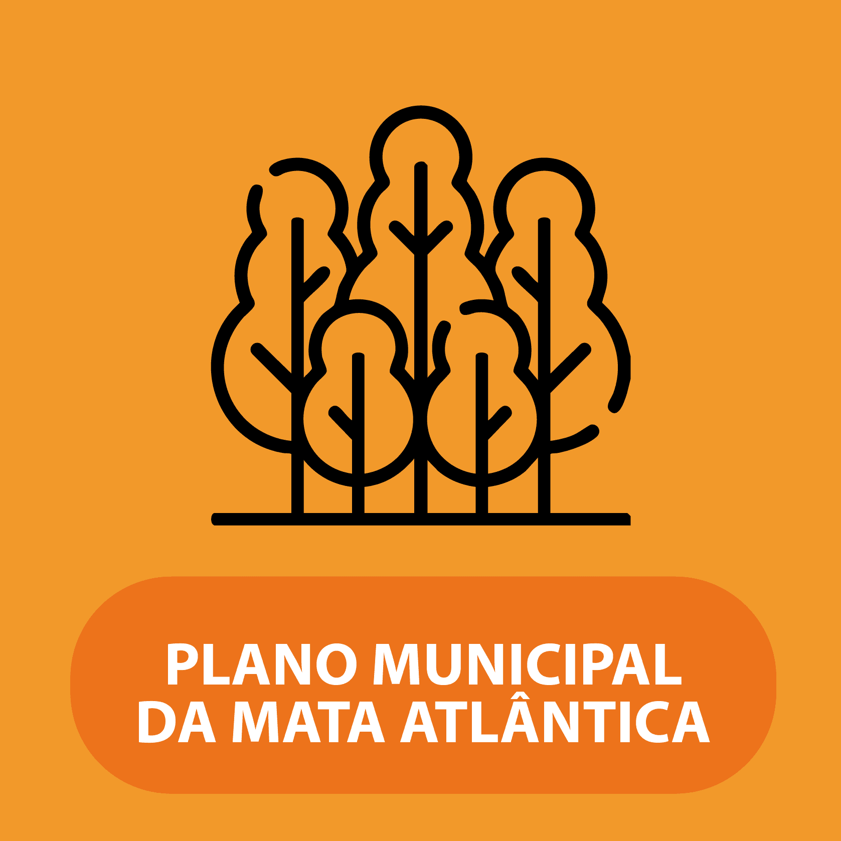 Plano Municipal de Mata Atlântica
