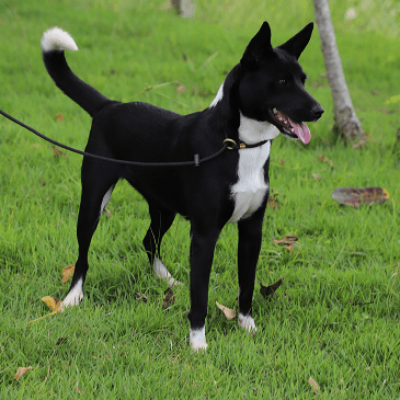 Zoe - Foto 1