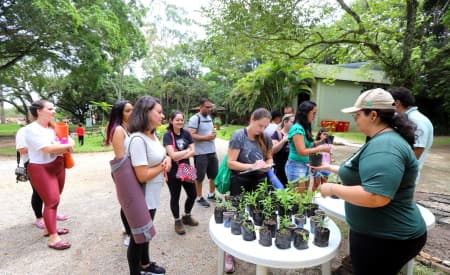 Festival da Primavera