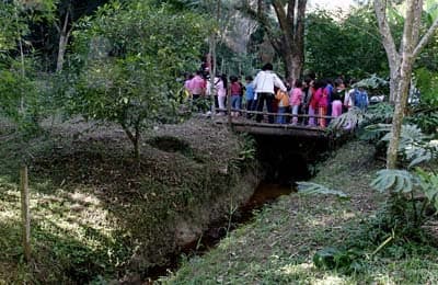 Inscrições para curso ‘Vivências com a Natureza’