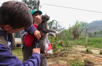 Campanha de vacinação antirrábica tem início na zona rural