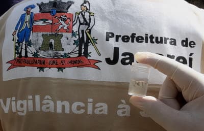 Mutirão de combate ao Aedes aegypti faz vistoria amanhã no Parque Meia Lua