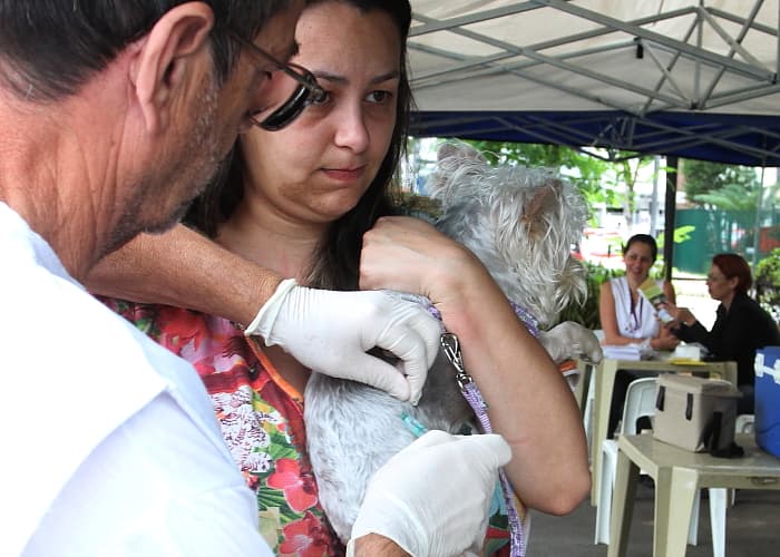 Vacinação antirrábica continua neste sábado (7)