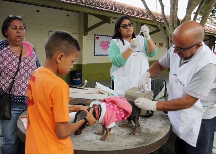 Campanha de vacinação antirrábica acontece neste sábado (08)