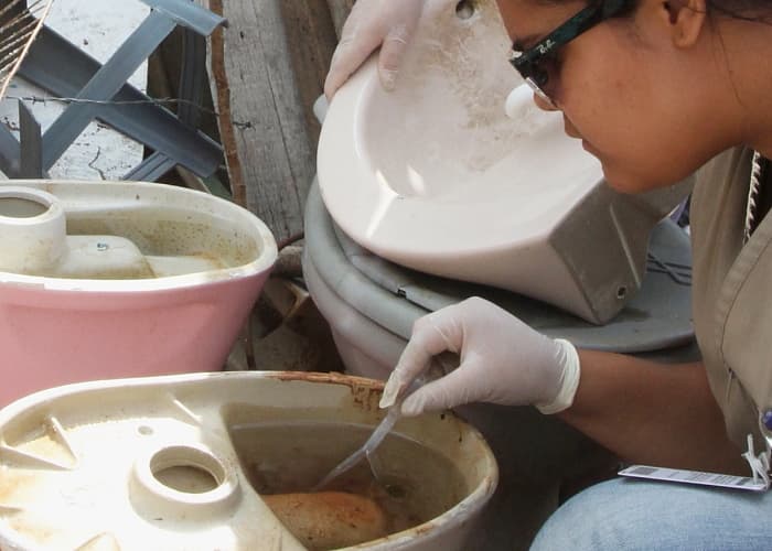 Programa de combate à Dengue vistoria 687 imóveis no Igarapés
