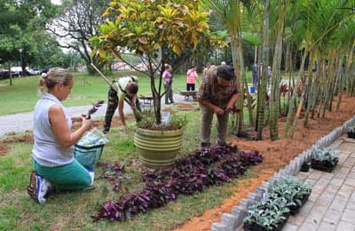 Inscrições para Curso de Jardinagem no Viveiro Municipal foram prorrogadas
