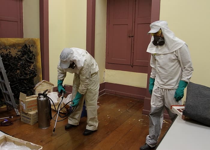 Museu tem acesso limitado para descupinização