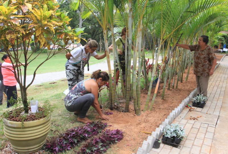 Estão abertas as inscrições para nova edição do curso de jardinagem