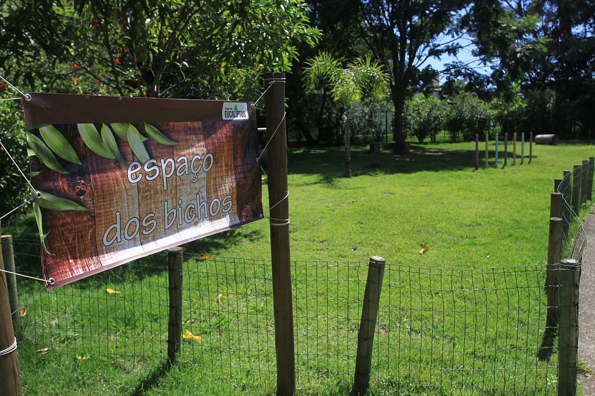 Parque dos Eucaliptos passa por melhorias