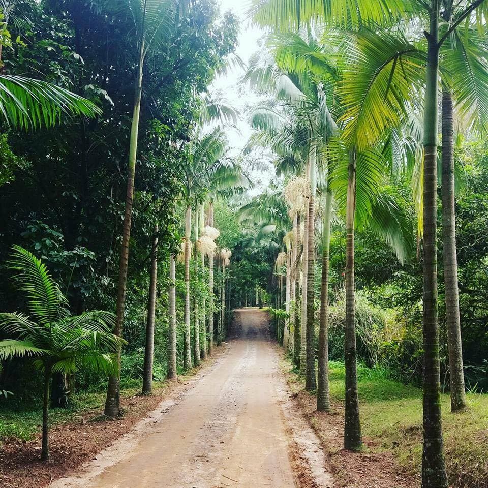 Secretaria de Meio Ambiente realiza 11º encontro “ProMEA em Ação”
