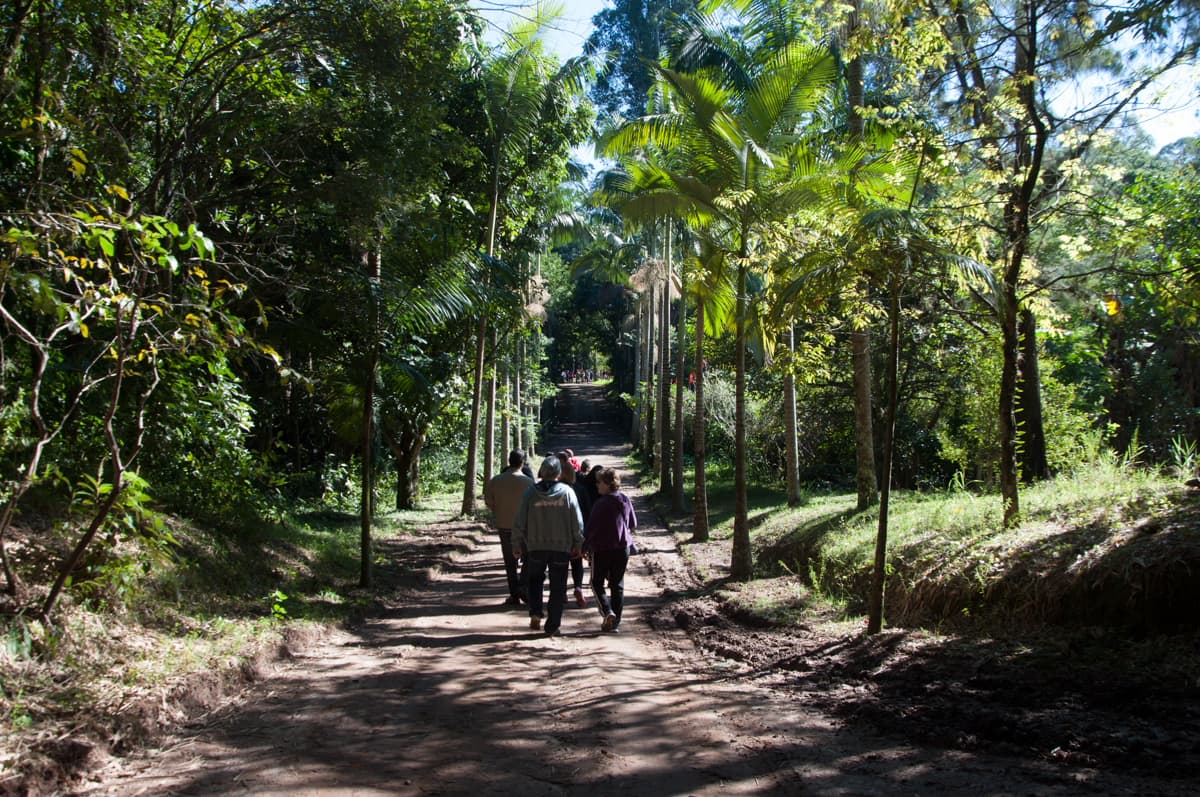 Viveiro abre agenda de visitas aos domingos durante as férias de julho