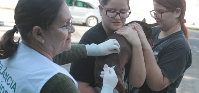 Final de semana terá vacinação Antirrábica em Jacareí