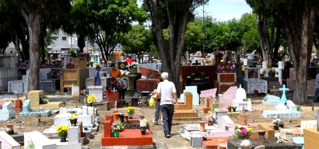 Prefeitura volta a remover vasos dos cemitérios para combate ao mosquito Aedes Aegypti