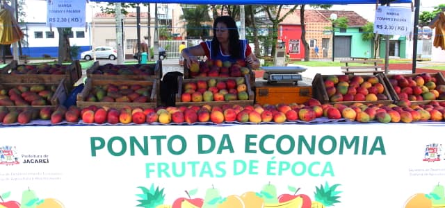 Ponto da Economia registra 11.500 quilos de manga vendidos