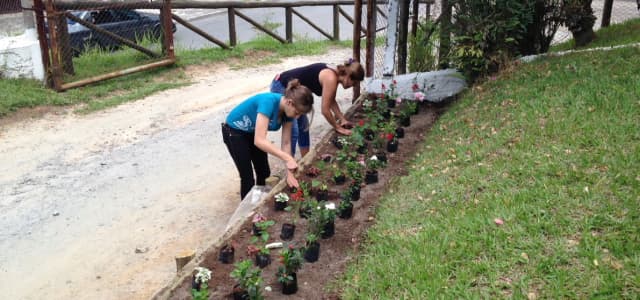 Prefeitura encerra Curso de Jardinagem no Viveiro com plantio de ipê