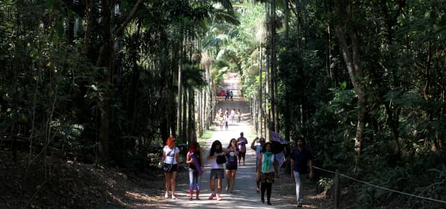Viveiro Municipal agita o mês de janeiro com trilhas contemplativas