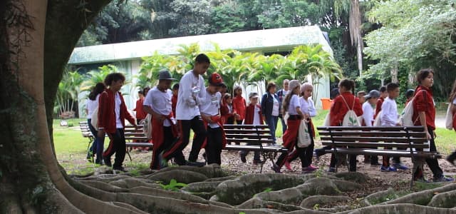 Agenda do NEA já está aberta para as escolas