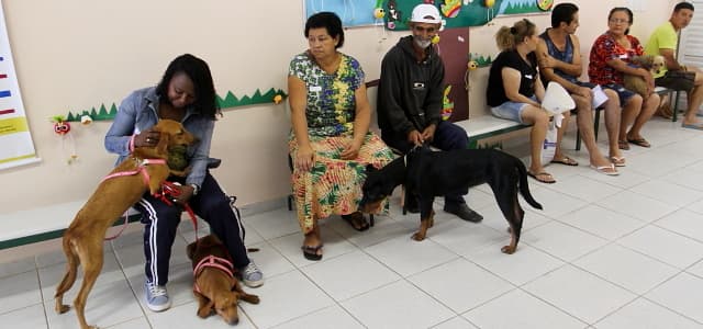 Prefeitura realiza mutirão de castração de cães e gatos no domingo (26)