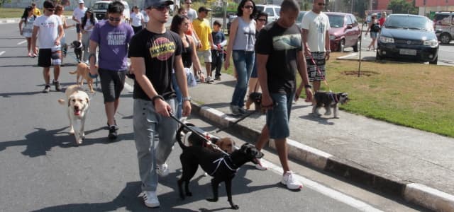 Confira a programação completa da ‘1ª Virada Animal’